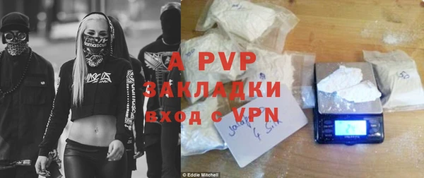 apvp Вяземский